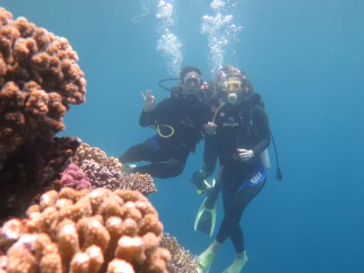 Hurghada FullDay Scuba Diving Discovery GetYourGuide