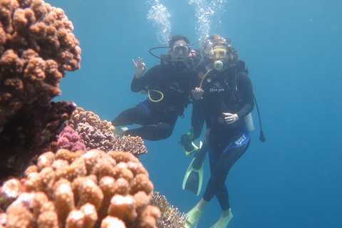 Hurghada: descubrimiento de buceo de día completoViaje de buceo privado con instructor