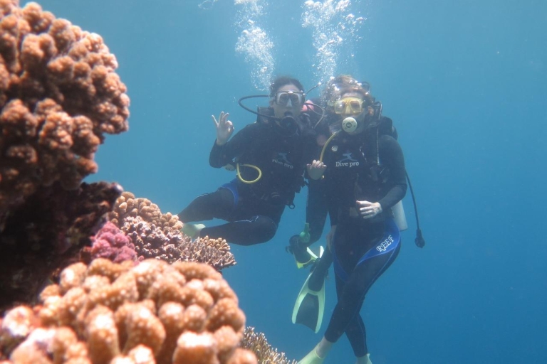 Hurghada: całodniowe odkrywanie nurkowaniaDiscovery Diving dla niecertyfikowanych nurków