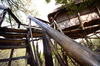 Kruger National Park, 3-Day Safari Tour and Treehouse Stay - Housity