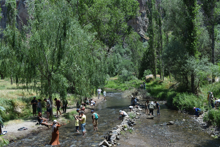 Excursión verde de día completo a Capadocia