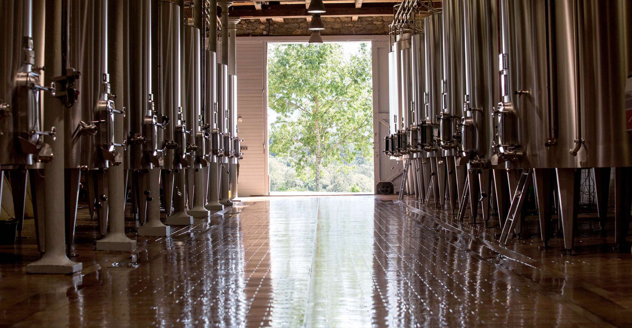 Languedoc, Tour und Verkostung bei Domaine de Baronarques - Hizvo
