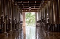 Languedoc, Tour und Verkostung bei Domaine de Baronarques - Hizvo