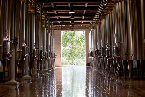 Languedoc: rondleiding en proeverij op Domaine de Baronarques