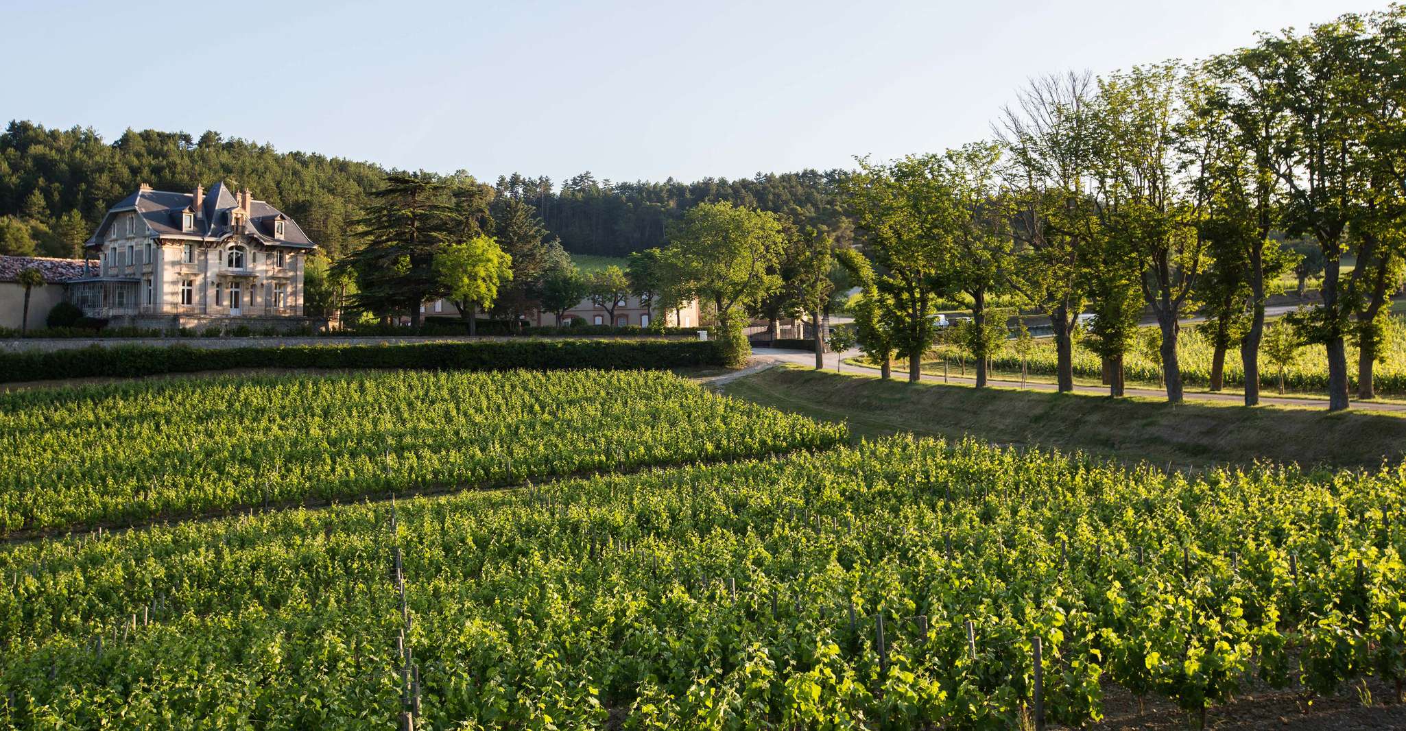 Languedoc, Tour y Degustación en Domaine de Baronarques - Hizvo