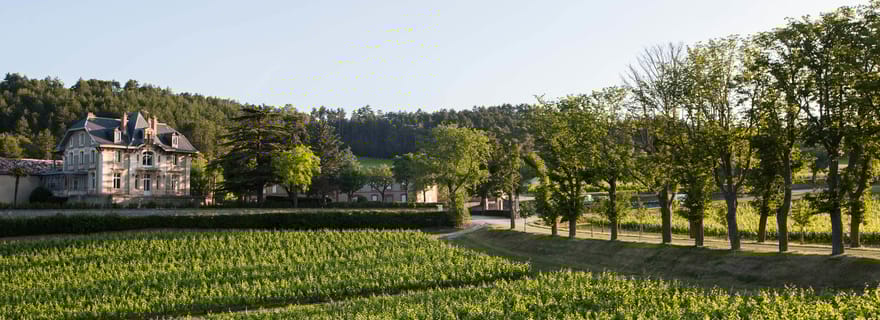 Languedoc : Visite et dégustation au Domaine de Baronarques