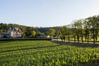 Languedoc, Tour und Verkostung bei Domaine de Baronarques - Hizvo
