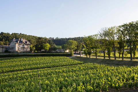 Langwedocja: zwiedzanie i degustacja w Domaine de Baronarques