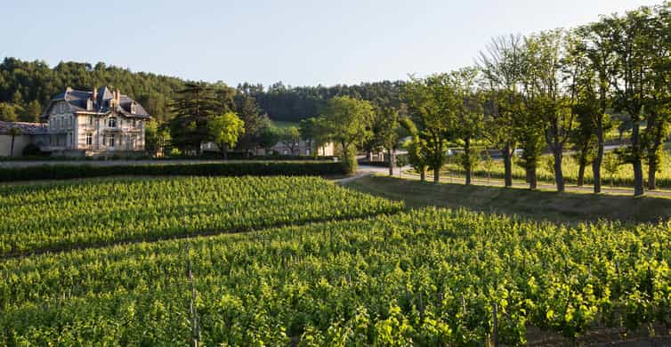 Languedoc: Tur și degustare la Domaine de Baronarques