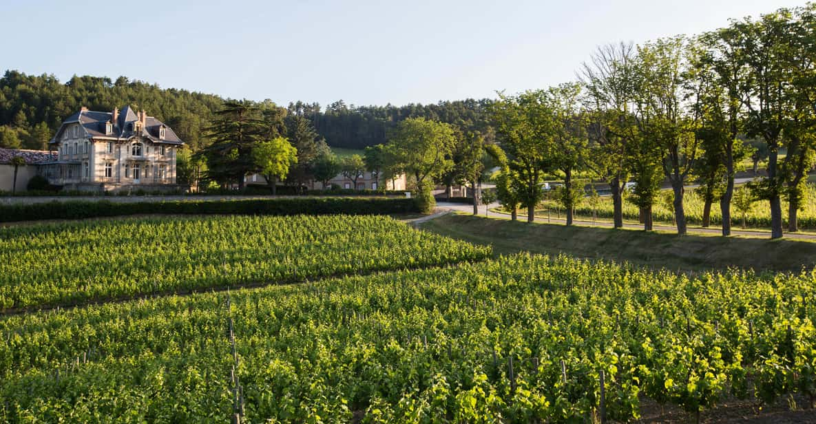 Languedoc: Tour and Tasting at Domaine de Baronarques | GetYourGuide