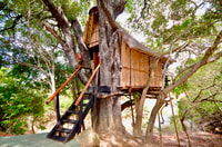 Kruger National Park, 3-Day Safari Tour and Treehouse Stay - Housity