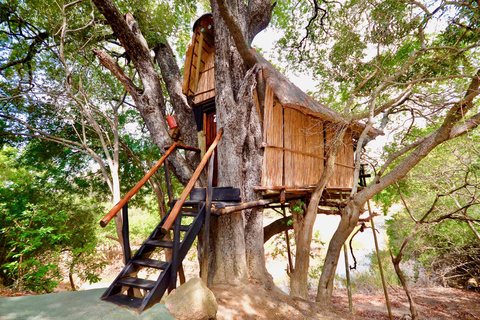 Parque Nacional Kruger: Safári de 3 Dias c/ Casa na Árvore