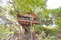 Kruger National Park, 3-Day Safari Tour and Treehouse Stay - Housity
