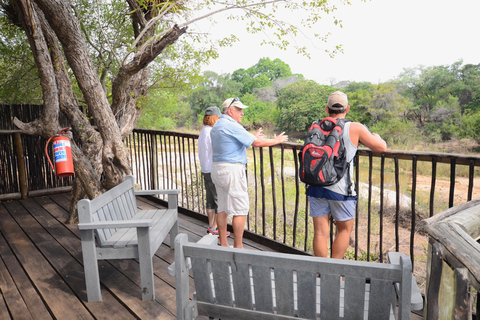 Parque Nacional Kruger: 3 días de safari y casa en un árbol