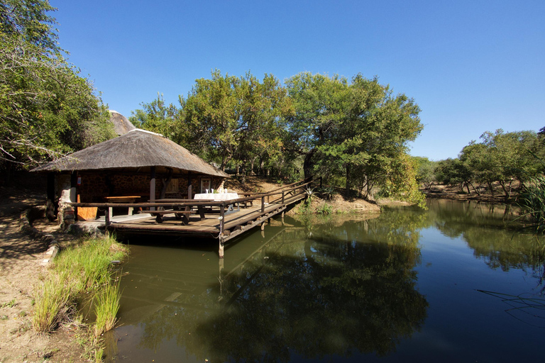 Parco nazionale Kruger: safari e casa sull&#039;albero