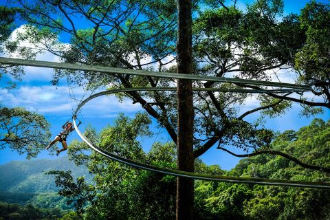 Chiang Mai: Jungle Flight Zip Line Roller Coaster