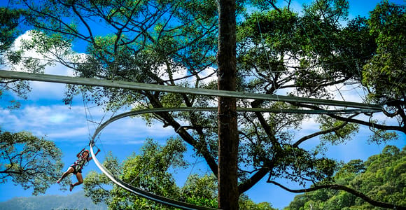 Chiang Mai: Jungle Flight Zip Line Roller Coaster