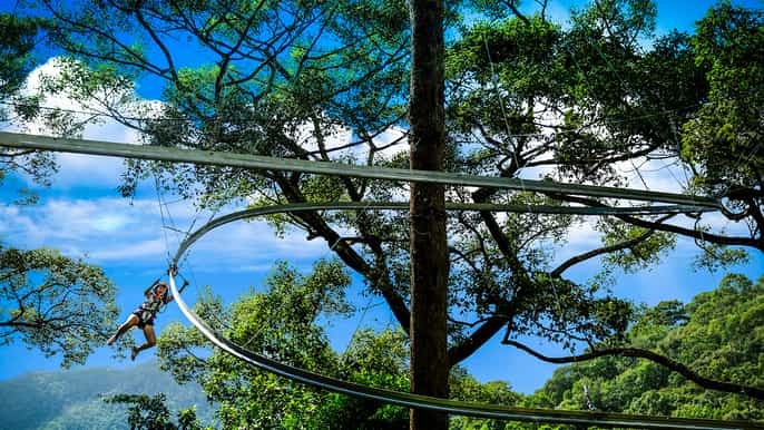 chiang mai montaña rusa de la tirolina del vuelo de la selva