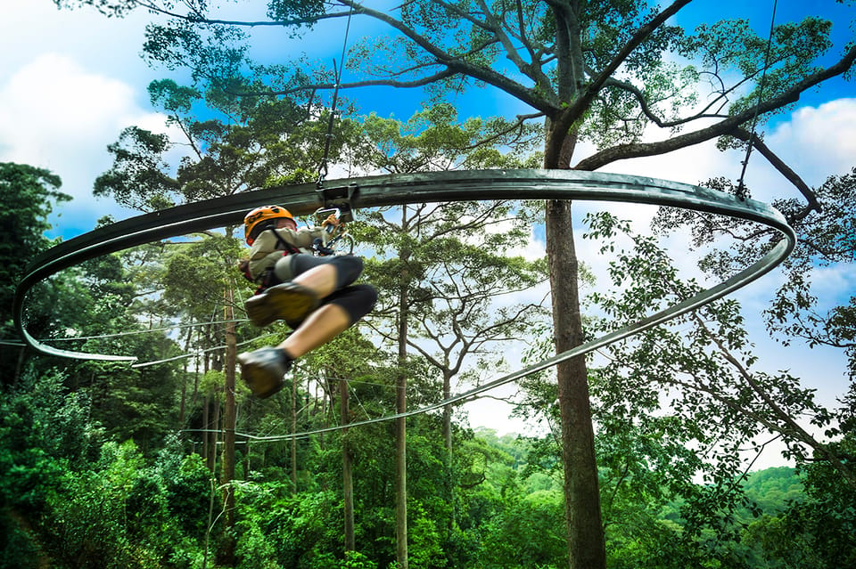 Chiang Mai Jungle Flight Zip Line Roller Coaster GetYourGuide