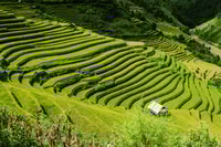 Guilin Longji Terraces Private Day Tour - Housity