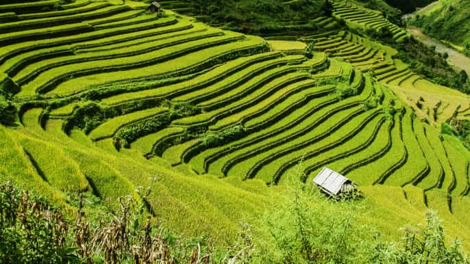 from guilin longji terraces group day tour with lunch