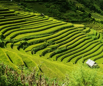 Guilin Longji Terraces Private Day Tour