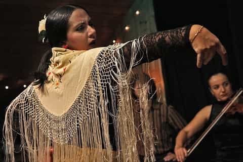 Malaga: Flamenco, Tapas, and Wine Tour