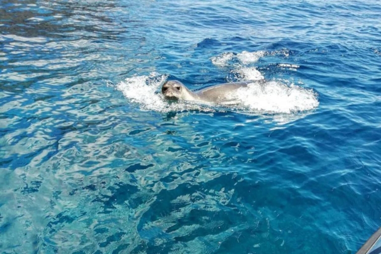 Nurkowanie z rurką Rezerwat morski GarajauZ Funchal: Snorkeling w rezerwacie morskim Garajau