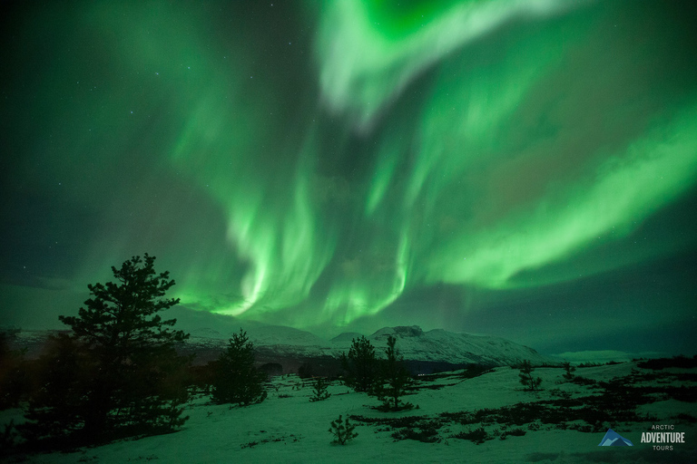 Tromsø: Caccia all&#039;aurora boreale per piccoli gruppiTromsø: tour per piccoli gruppi a caccia dell&#039;aurora boreale