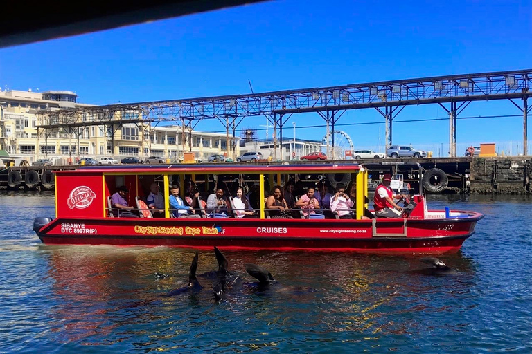 V&A Waterfront: Seal & Harbour Cruise