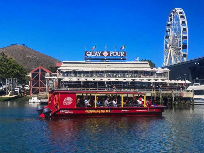 V&A Waterfront Seal & Harbour Cruise GetYourGuide