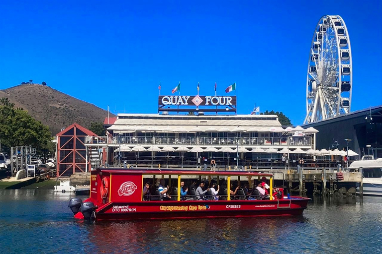 V&A Waterfront : Croisière sur le port et les phoquesLe Cap : croisière sur V&A Waterfront avec phoques