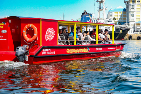 V&amp;A Waterfront: Säl- och hamnkryssningKapstaden: Sälsafari och kryssning i hamnen