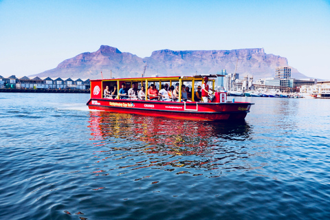 V&A Waterfront : Croisière sur le port et les phoquesLe Cap : croisière sur V&A Waterfront avec phoques