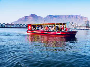 V&A Waterfront: Robben-Beobachtung bei einer Hafenrundfahrt V&A Waterfront: Robben-Beobachtung bei einer Hafenrundfahrt