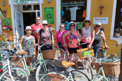 Malaga: Tour guidato in biciclettaMalaga: tour guidato in bicicletta