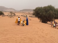 Souss-Massa National Park, Full Day Jeep Tour with Lunch - Housity