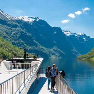 Bergen: Guided Full-Day Tour to Nærøyfjord & Flåm Railway