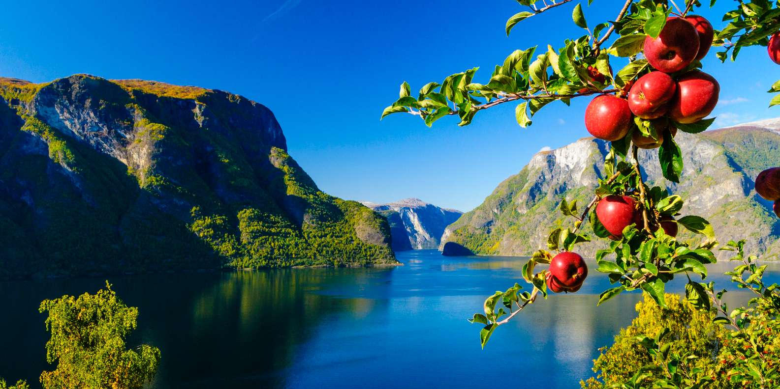 Bergen fjord cruise to Mostraumen — Osterfjord and waterfall — image 7
