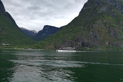 Bergen: Nærøyfjorden i Flåmsbana, wycieczka z przewodnikiem