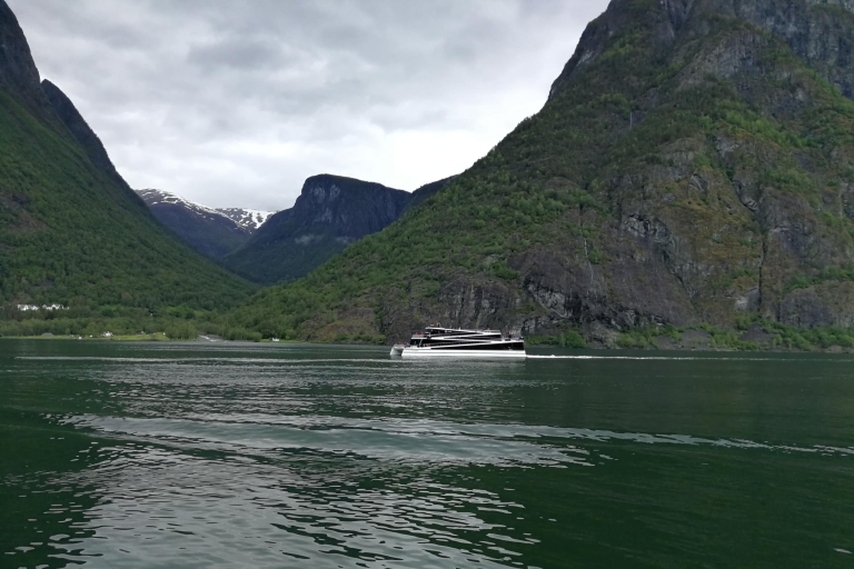 Bergen : visite guidée d'1 jour à Nærøyfjord & Flåmsbanen