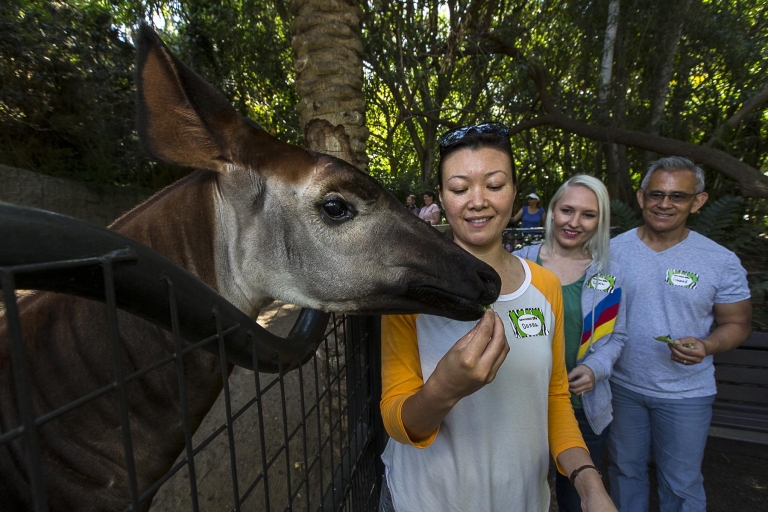 San Diego Zoo: 1-Day Admission Ticket