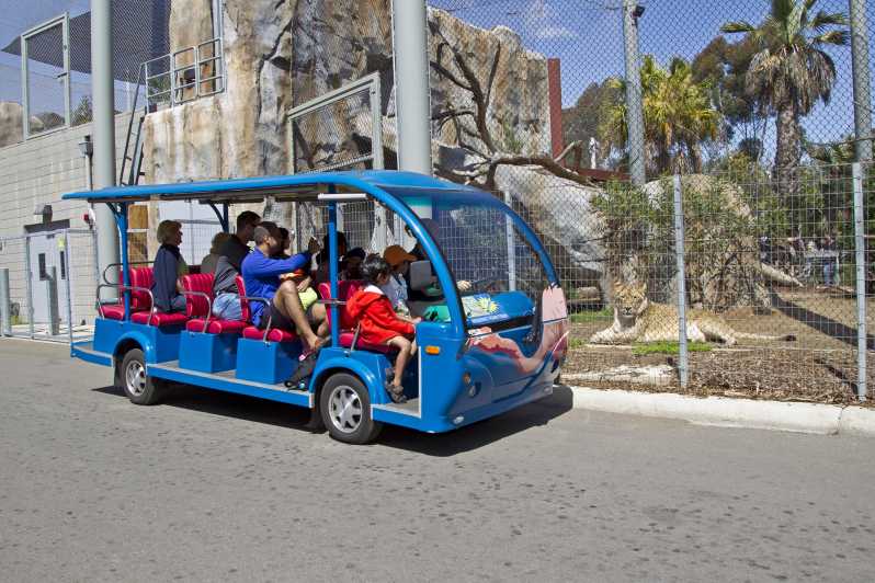 san diego zoo discovery cart tour review