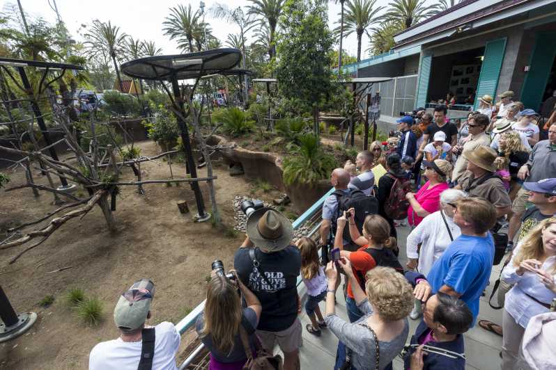 San Diego Zoo 1Tagesticket GetYourGuide
