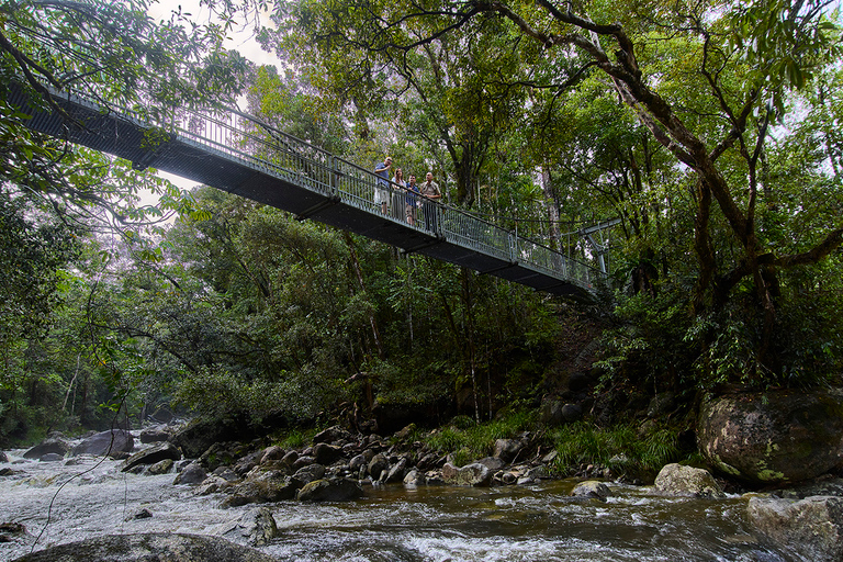 Cairns: Daintree Rainforest Traditional Aboriginal Fishing Daintree Rainforest: Ngadiku Dreamtime Walk