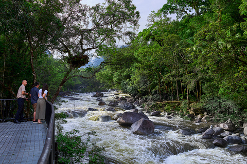 Cairns: Daintree Rainforest Traditional Aboriginal Fishing Daintree Rainforest: Ngadiku Dreamtime Walk