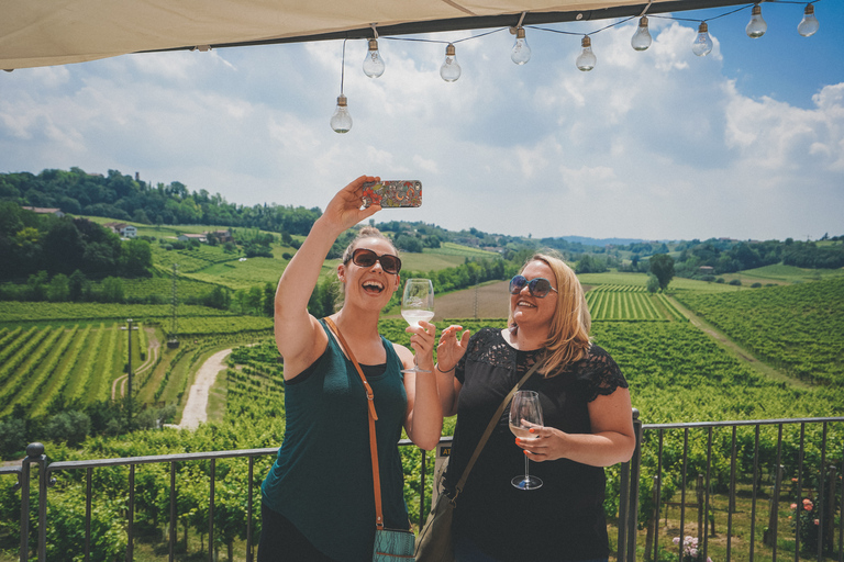 Da Venezia: Tour delle colline del Prosecco e degustazione di vini