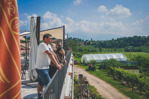 Venetië: Prosecco wijnproeverij