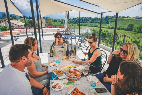 De Veneza: Passeio pelas colinas de Prosecco e degustação de vinhos