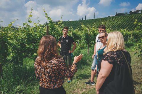 From Venice: Prosecco Hills and Wine Tasting Tour